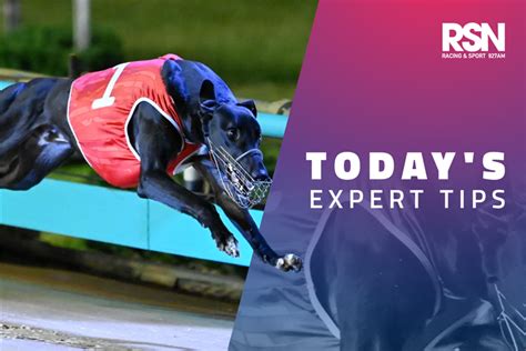 Daily Greyhound Tips .